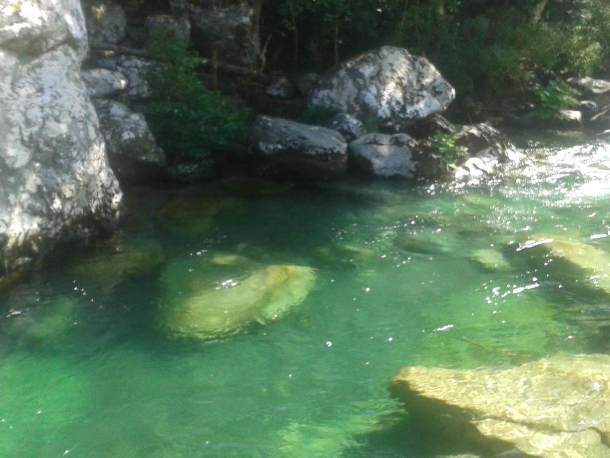 Autour Du Hamac Chambres Et Table D'Hotes Moltifao Εξωτερικό φωτογραφία